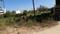 Santhapet Plot View 2