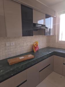 Kitchen Image of 1620 Sq.ft 3 BHK Builder Floor for rent in BPTP Parklands Pride, Sector 77 Faridabad for Rs. 22000