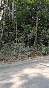 Image of 43560 Sq.ft Residential Plot / Land for sale in Kakkanad, Kochi for Rs. 120000000