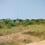 Vasan village Plot View 2