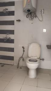 Image of 1100 Sq.ft 2 BHK Apartment / Flat for rent in Amrapali Eden Park, Sector 50, Noida for Rs. 32000