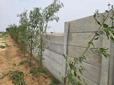 Image of 648 Sq.ft Residential Plot / Land for sale in Noida Extension, Greater Noida for Rs. 1908000