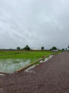 Image of 1000 Sq.ft Residential Plot / Land for sale in Naya Raipur, Raipur for Rs. 500000