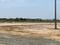 Ongole Main Image 1