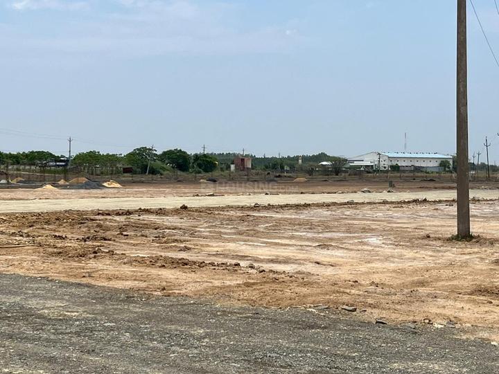 Ongole Main Image 1