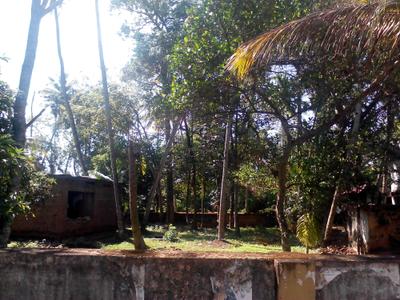 Image of 14388 Sq.ft Residential Plot / Land for sale in Chirayinkeezhu, Thiruvananthapuram for Rs. 9000000