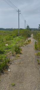 Image of 906 Sq.ft Residential Plot / Land for sale in Santhi Nagar, Hassan for Rs. 1450000