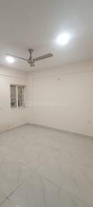Hall Image of 920 Sq.ft 2 BHK Apartment / Flat for rent in Bharat Anthela, Lohamandi Agra for Rs. 20000