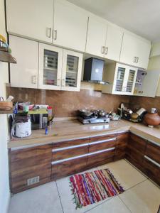 Kitchen Image of 1081 Sq.ft 2 BHK Apartment / Flat for sale in Viraj Kamal Apartment, Arjun Nagar Jaipur for Rs. 6500000
