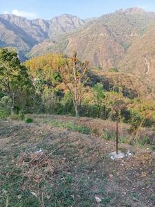 Image of 900 Sq.ft Residential Plot / Land for sale in Maldevta, Dehradun for Rs. 9000000