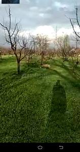 Image of 15000 Sq.ft Residential Plot / Land for sale in Saidpura, Srinagar for Rs. 40000000