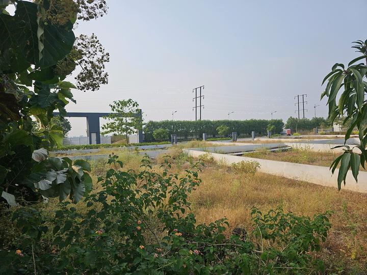 Uruli Kanchan Main Image 1