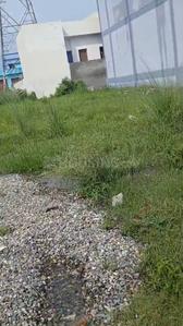 Image of 3025 Sq.ft Residential Plot / Land for sale in Miyawala, Dehradun for Rs. 12500000