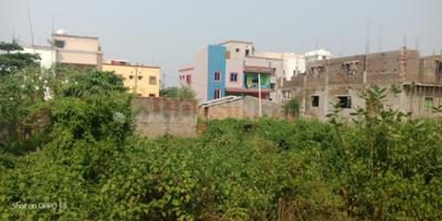 Patia Plot View 2