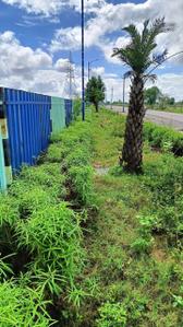 Image of 3600 Sq.ft Residential Plot / Land for sale in Riyasat Vatika Phase 1, Vatika, Jaipur for Rs. 12400000