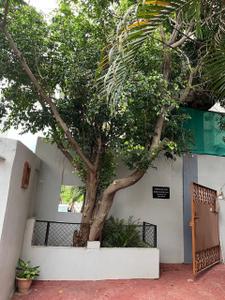 3 BHK Independent House