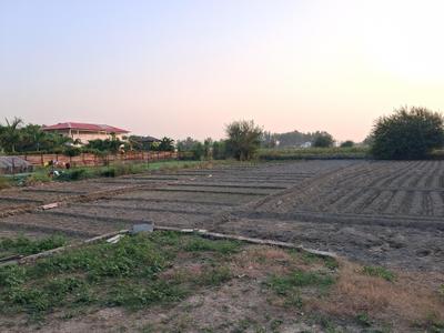 Image of 10000 Sq.ft Residential Plot / Land for sale in Dkrrish Green Beauty Farms, Nagli Bahrampur, Noida for Rs. 7500002