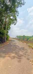 Image of 2178 Sq.ft Residential Plot / Land for sale in Kakkanad, Kochi for Rs. 1300000