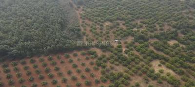 Image of 120 Sq.ft Residential Plot / Land for sale in Narayankhed, Sangareddy for Rs. 450000