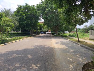 DLF Alameda Internal Roads 1