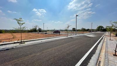 Nidhis Nest Plot View 2