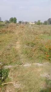 Image of 1350 Sq.ft Residential Plot / Land for sale in Bareilly Pacific Estates, Kumrah, Bareilly for Rs. 2025000