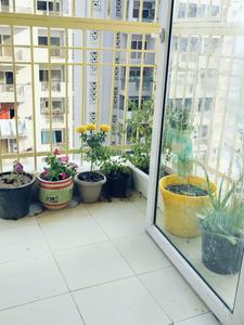 4 BHK Flat