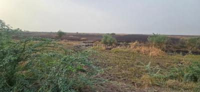 Dholera Plot View 3