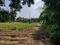 Aarohi Plots Plot View 2