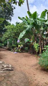Image of 4000 Sq.ft Residential Plot / Land for sale in Changanassery, Kottayam for Rs. 500000