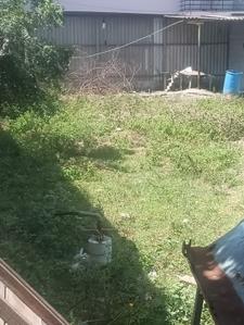 Image of 4243 Sq.ft Residential Plot / Land for sale in Suleeswaranpatti, Pollachi for Rs. 8766000