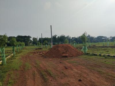 Image of 1200 Sq.ft Residential Plot / Land for sale in Balianta, Bhubaneswar for Rs. 1440000