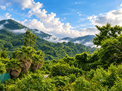 Image of 1650 Sq.ft Residential Plot / Land for sale in Mussoorie Road, Dehradun for Rs. 264000000