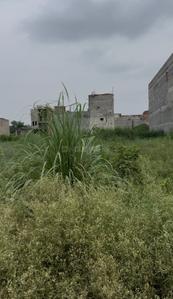 Image of 9000 Sq.ft Residential Plot / Land for sale in Atour, Ghaziabad for Rs. 20000000