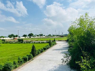 Image of 1800 Sq.ft Residential Plot / Land for sale in Amiliha, Kanpur for Rs. 1625000