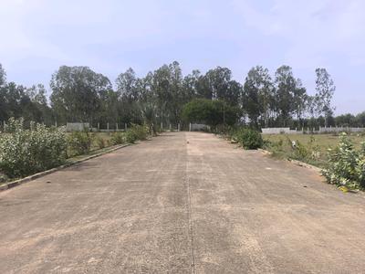 Image of 900 Sq.ft Residential Plot / Land for sale in Hoskote, Bengaluru for Rs. 2520100