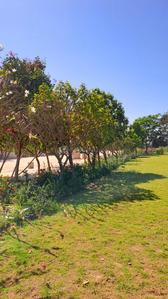 Image of 2216 Sq.ft 4 BHK Independent House for sale in Kingstown, Dunda, Raipur for Rs. 8420000