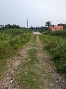 Nest Valley Internal Roads 1