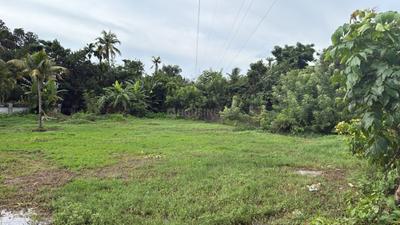 Image of 10000 Sq.ft Residential Plot / Land for sale in Eroor, Kochi for Rs. 595000