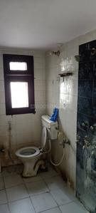 Bathroom Image of Apna pg in Alpha I, Greater Noida