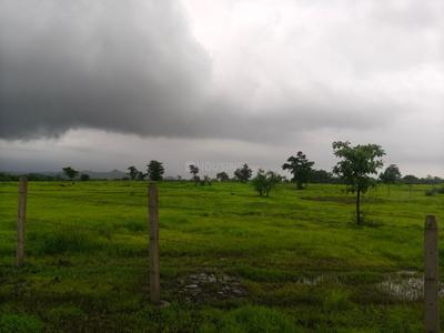Image of 59895 Sq.ft Residential Plot / Land for sale in Murbad, Thane for Rs. 9075000