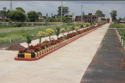 Dhamna Plot View 1