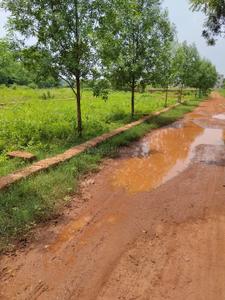 Image of 1250 Sq.ft Residential Plot / Land for sale in Phulnakhara, Cuttack for Rs. 3875000