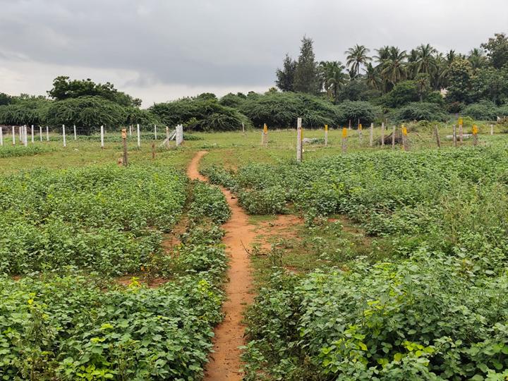 Panjappur Main Image 1