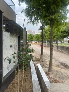 Image of 160 Sq.ft 1 RK Apartment / Flat for rent in Sector 70, Noida for Rs. 20500