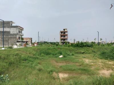 Amolik Aster Woods Plot View 2