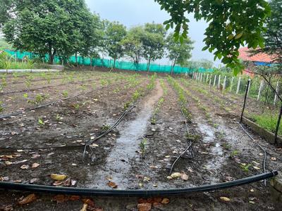Image of 16500 Sq.ft Residential Plot / Land for sale in Bhatagaon, Raipur for Rs. 7350000