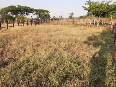 Image of 1509 Sq.ft Residential Plot / Land for sale in Daund, Pune for Rs. 1200000