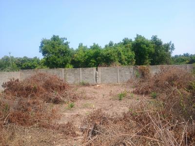 Padur Plot View 2
