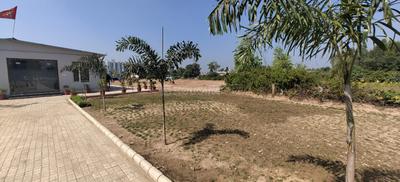 Sector 12 Plot View 1